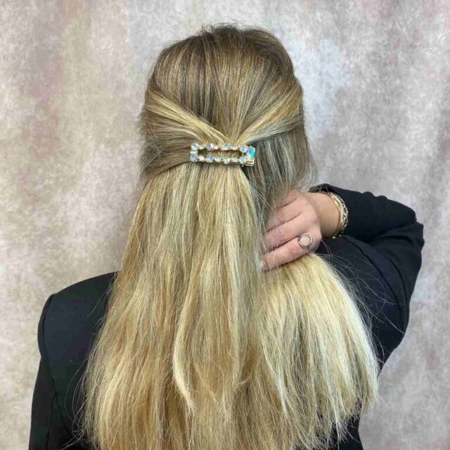 Barrette Clarisse