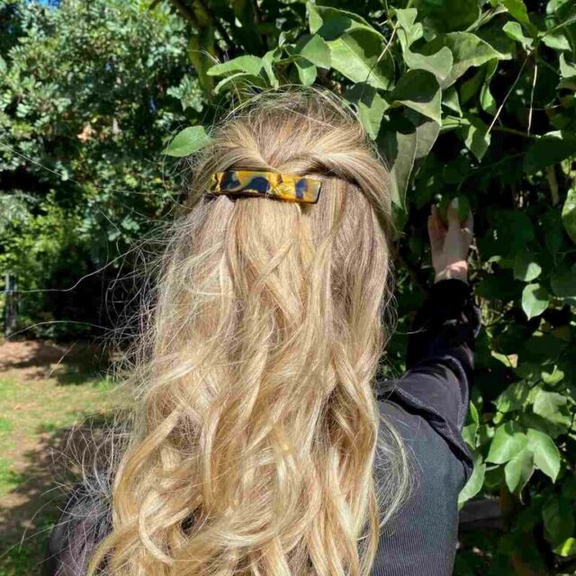 Barrette Carla, Corne Dorée