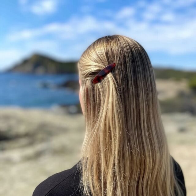 Barrette Clémence